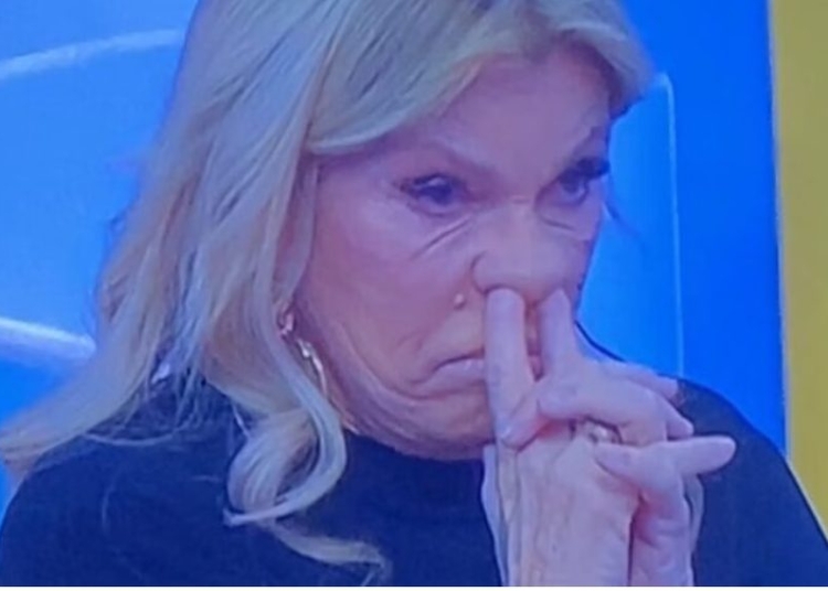 Cinha Jardim