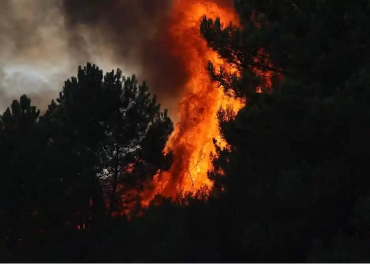 Incêndio em Trás-os-Montes