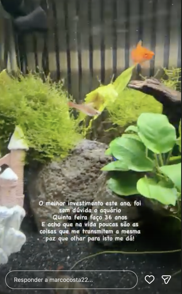 Marco Costa_Storie